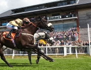 Ladies-Night-at-Carlisle-Racecourse