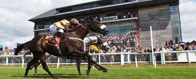 Ladies-Night-at-Carlisle-Racecourse